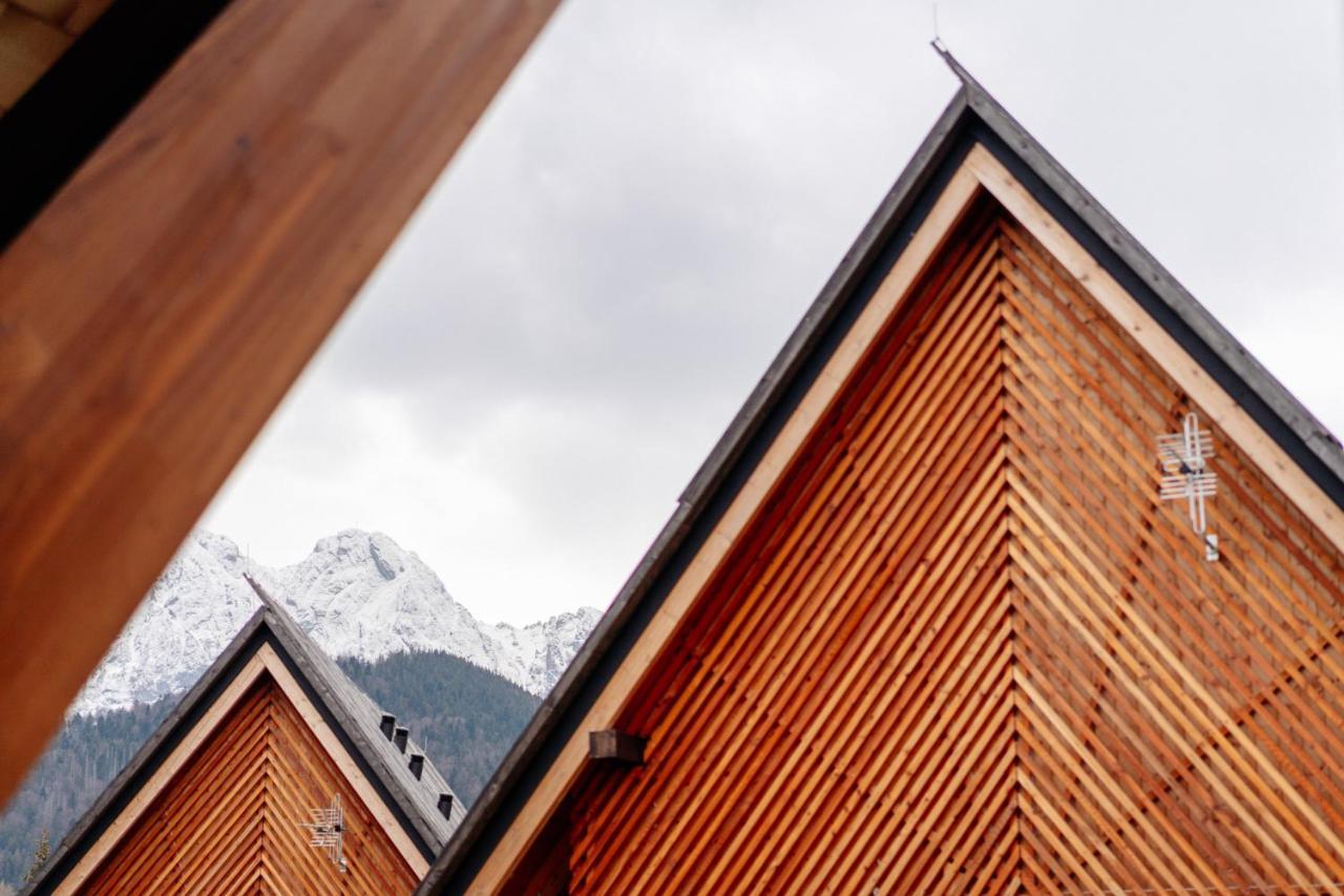 Landscape Zakopane - Loftaffair Villa Koscielisko Exterior photo